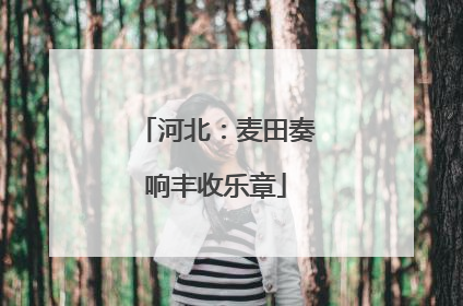 河北：麦田奏响丰收乐章