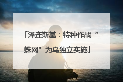 泽连斯基：特种作战“蛛网”为乌独立实施
