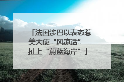 法国涉巴以表态惹美大使“风凉话” 扯上“蔚蓝海岸”