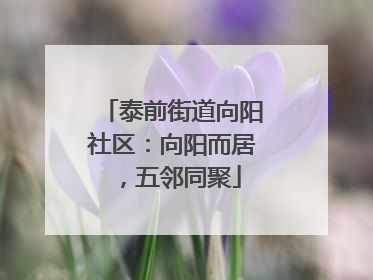 泰前街道向阳社区：向阳而居，五邻同聚