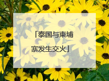 泰国与柬埔寨发生交火