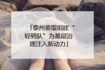 泰州姜堰组建“轻骑队”为基层治理注入新动力