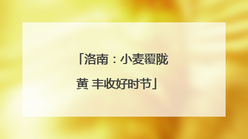 洛南：小麦覆陇黄 丰收好时节