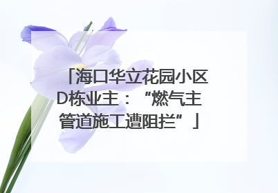 海口华立花园小区D栋业主：“燃气主管道施工遭阻拦”