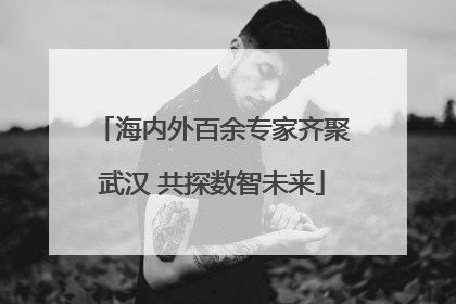 海内外百余专家齐聚武汉 共探数智未来