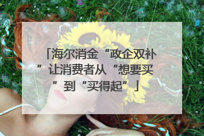 海尔消金“政企双补”让消费者从“想要买”到“买得起”