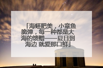 海蛏肥美，小章鱼脆弹，每一种都是大海的馈赠——夏日到海边 就爱那口鲜