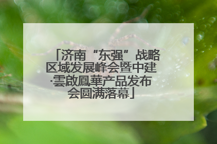 济南“东强”战略区域发展峰会暨中建·雲啟鳳華产品发布会圆满落幕