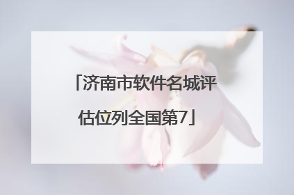 济南市软件名城评估位列全国第7
