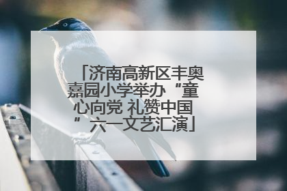 济南高新区丰奥嘉园小学举办“童心向党 礼赞中国”六一文艺汇演