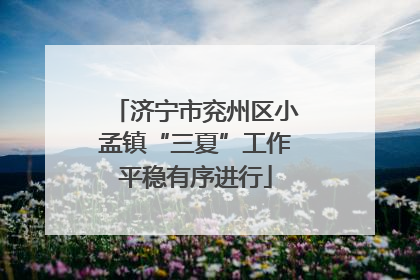 济宁市兖州区小孟镇“三夏”工作平稳有序进行