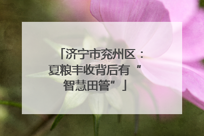 济宁市兖州区：夏粮丰收背后有“智慧田管”