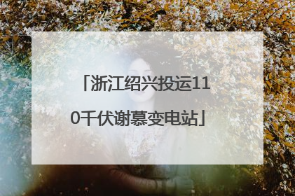 浙江绍兴投运110千伏谢慕变电站