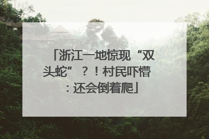 浙江一地惊现“双头蛇”？！村民吓懵：还会倒着爬