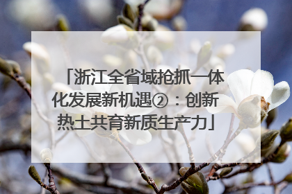 浙江全省域抢抓一体化发展新机遇②：创新热土共育新质生产力