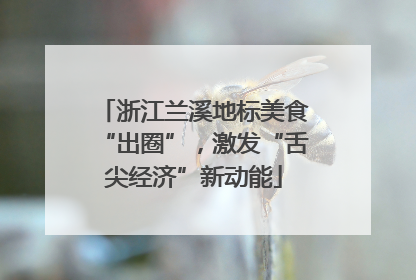 浙江兰溪地标美食“出圈”，激发“舌尖经济”新动能