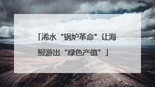 浠水“锅炉革命”让海鳗游出“绿色产值”