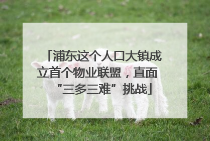 浦东这个人口大镇成立首个物业联盟，直面“三多三难”挑战
