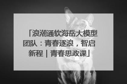 浪潮通软海岳大模型团队：青春逐浪，智启新程｜青春思政课