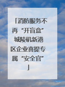 消防服务不再“开盲盒” 城陵矶新港区企业喜提专属“安全官”