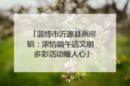 淄博市沂源县燕崖镇：浓情端午话文明 多彩活动暖人心