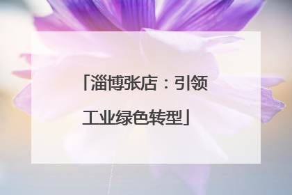 淄博张店：引领工业绿色转型