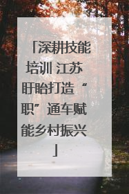 深耕技能培训 江苏盱眙打造“职”通车赋能乡村振兴