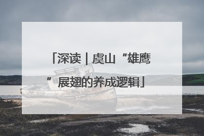 深读｜虞山“雄鹰”展翅的养成逻辑
