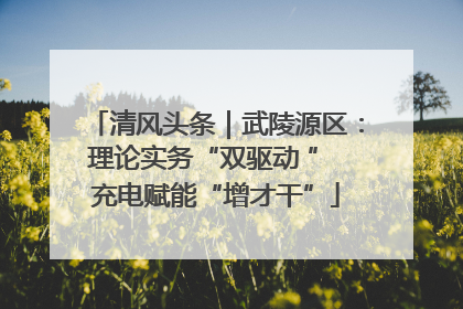 清风头条｜武陵源区：理论实务“双驱动 ” 充电赋能“增才干”