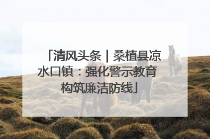 清风头条｜桑植县凉水口镇：强化警示教育 构筑廉洁防线