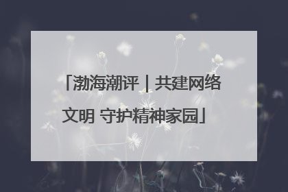 渤海潮评｜共建网络文明 守护精神家园