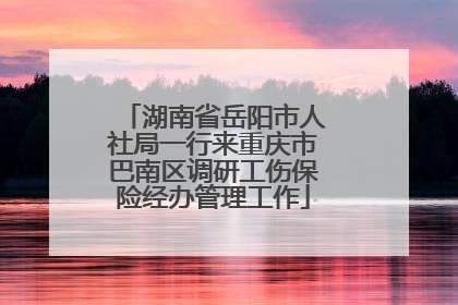 湖南省岳阳市人社局一行来重庆市巴南区调研工伤保险经办管理工作
