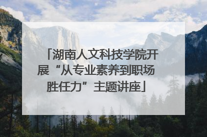 湖南人文科技学院开展“从专业素养到职场胜任力”主题讲座