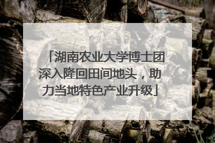 湖南农业大学博士团深入隆回田间地头，助力当地特色产业升级