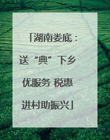 湖南娄底：送“典”下乡优服务 税惠进村助振兴