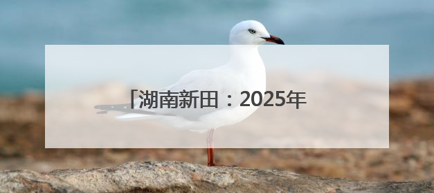 湖南新田：2025年高考首场考试结束 考生有序走出考场（组图）