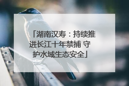 湖南汉寿：持续推进长江十年禁捕 守护水域生态安全