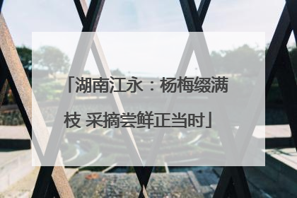 湖南江永：杨梅缀满枝 采摘尝鲜正当时