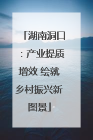 湖南洞口：产业提质增效 绘就乡村振兴新图景