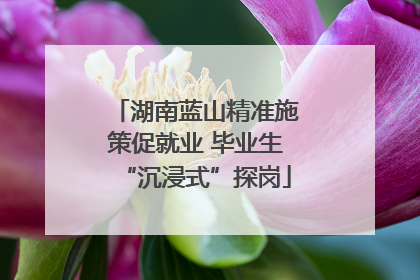 湖南蓝山精准施策促就业 毕业生“沉浸式”探岗