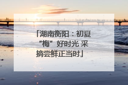 湖南衡阳：初夏“梅”好时光 采摘尝鲜正当时