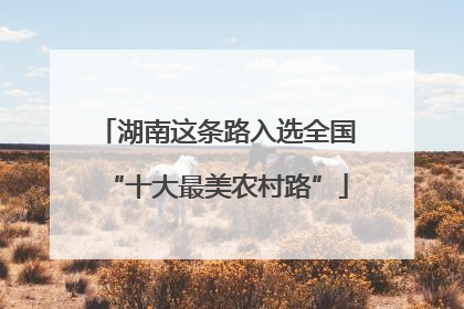 湖南这条路入选全国“十大最美农村路”