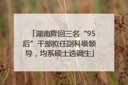 湖南隆回三名“95后”干部拟任副科级领导，均系硕士选调生