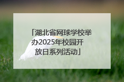湖北省网球学校举办2025年校园开放日系列活动