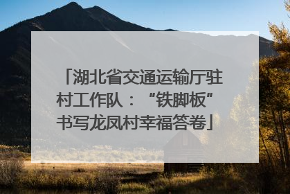 湖北省交通运输厅驻村工作队：“铁脚板”书写龙凤村幸福答卷