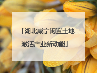 湖北咸宁闲置土地激活产业新动能
