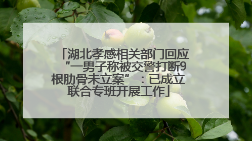 湖北孝感相关部门回应“一男子称被交警打断9根肋骨未立案”：已成立联合专班开展工作