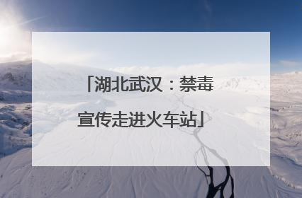 湖北武汉：禁毒宣传走进火车站