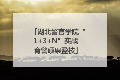 湖北警官学院“1+3+N”实战育警硕果盈枝