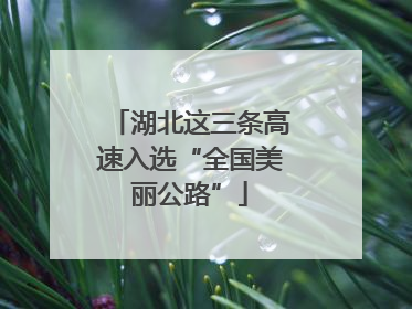 湖北这三条高速入选“全国美丽公路”